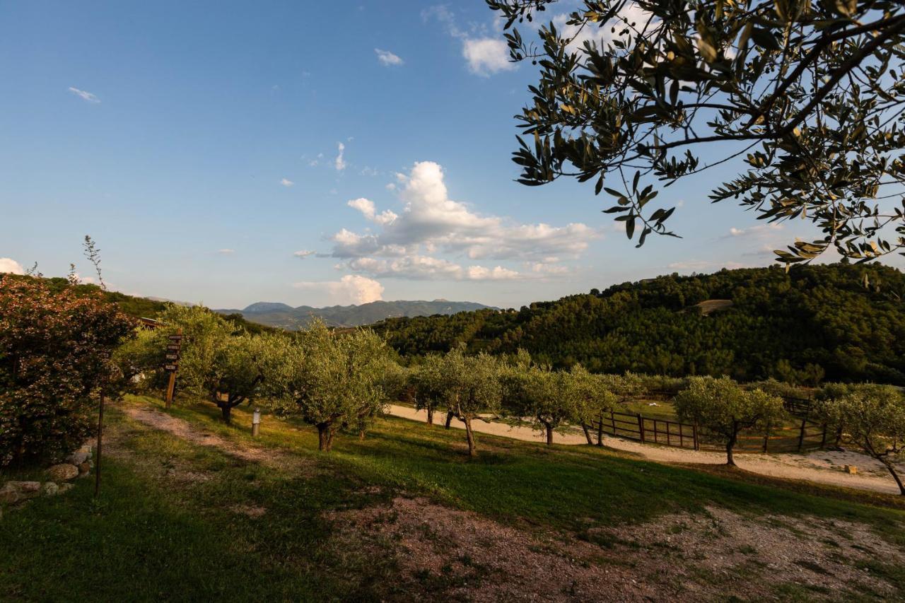 Agriturismo Agrileisuretime *