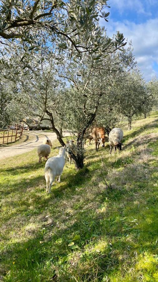 Agriturismo Agrileisuretime * Spoleto